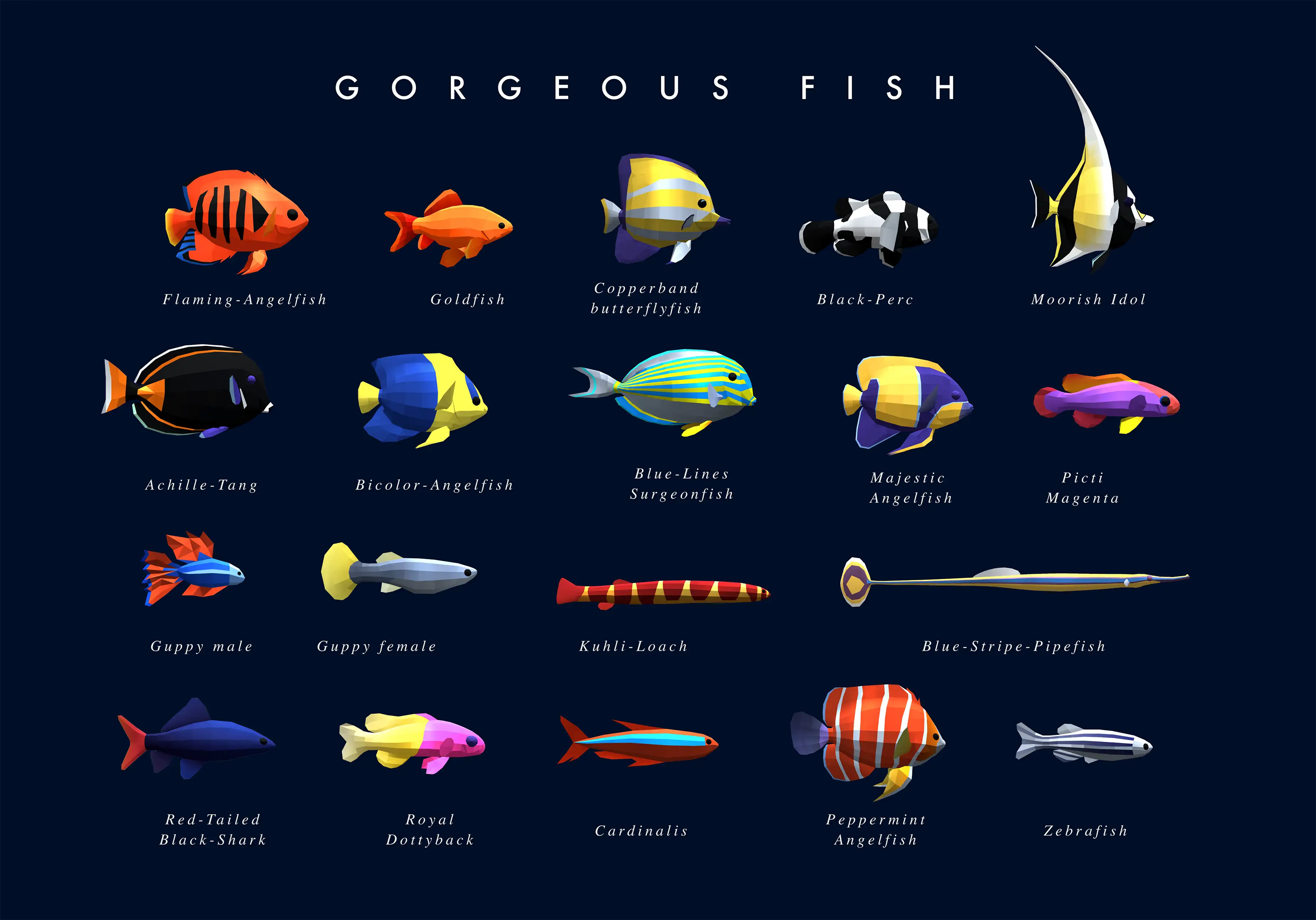 All_Fishes2