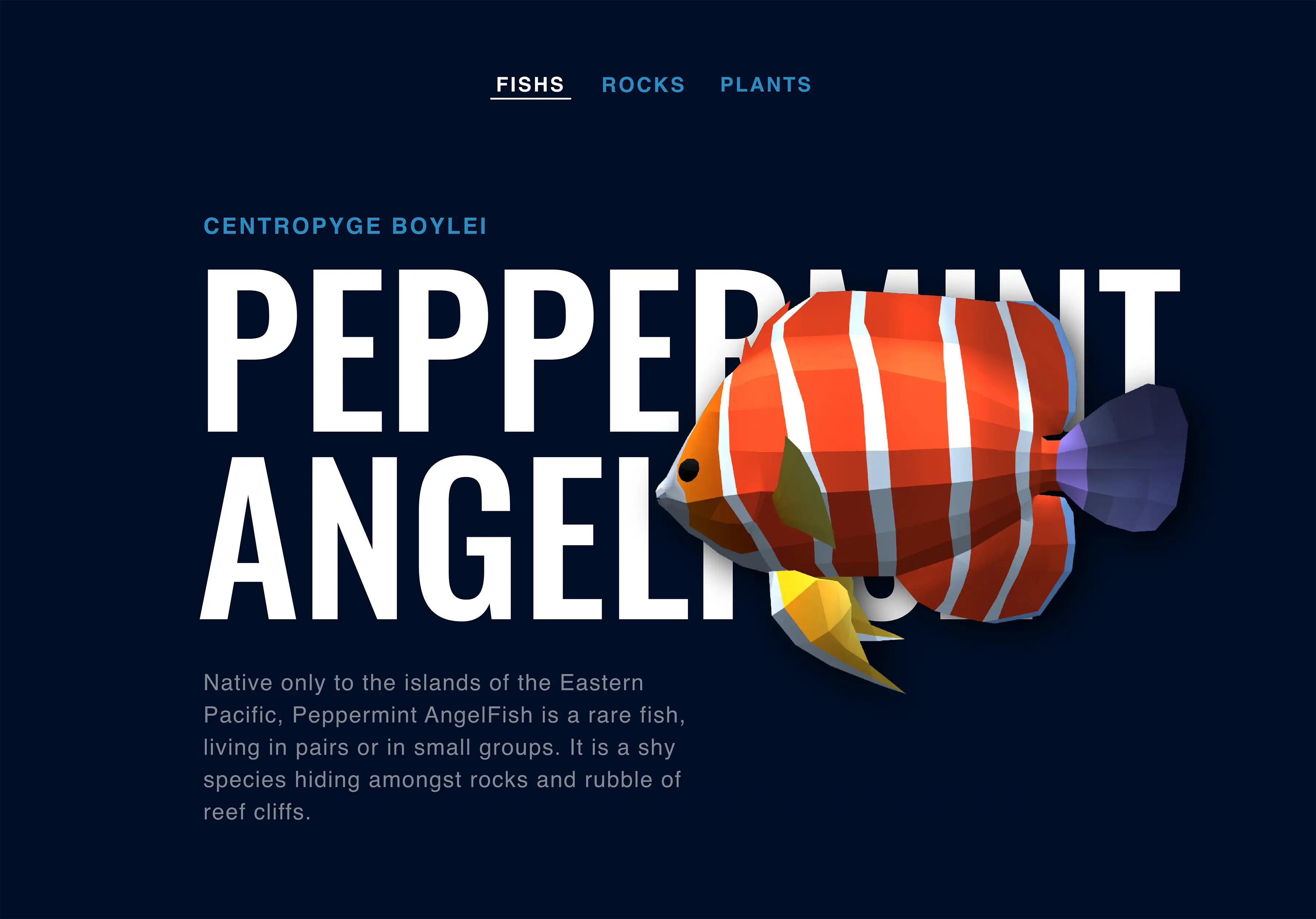 Screen%20peppermint%20angelfish